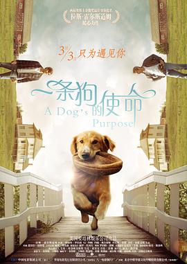 女职员的成长历史