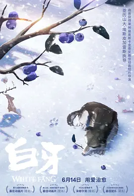 国内外在线激情视频